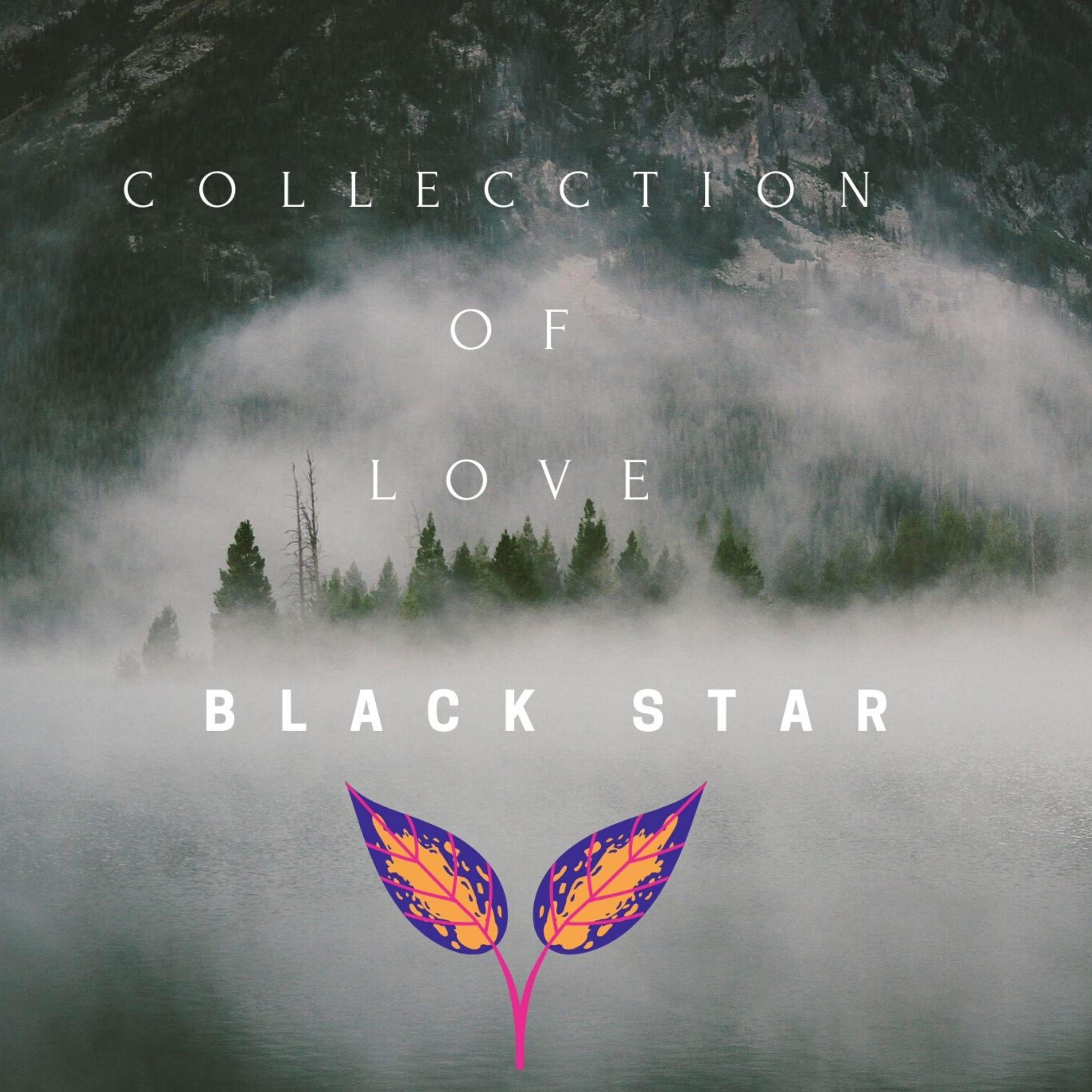 Collection of Love