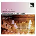 BACH, J.S.: Mass in B Minor, BWV 232 (Schwarzkopf, K. Ferrier, W. Ludwig, Schöffler, Vienna Symphony专辑