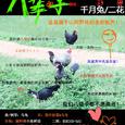 【千月兔】和TA合唱的歌【18年以前的~】