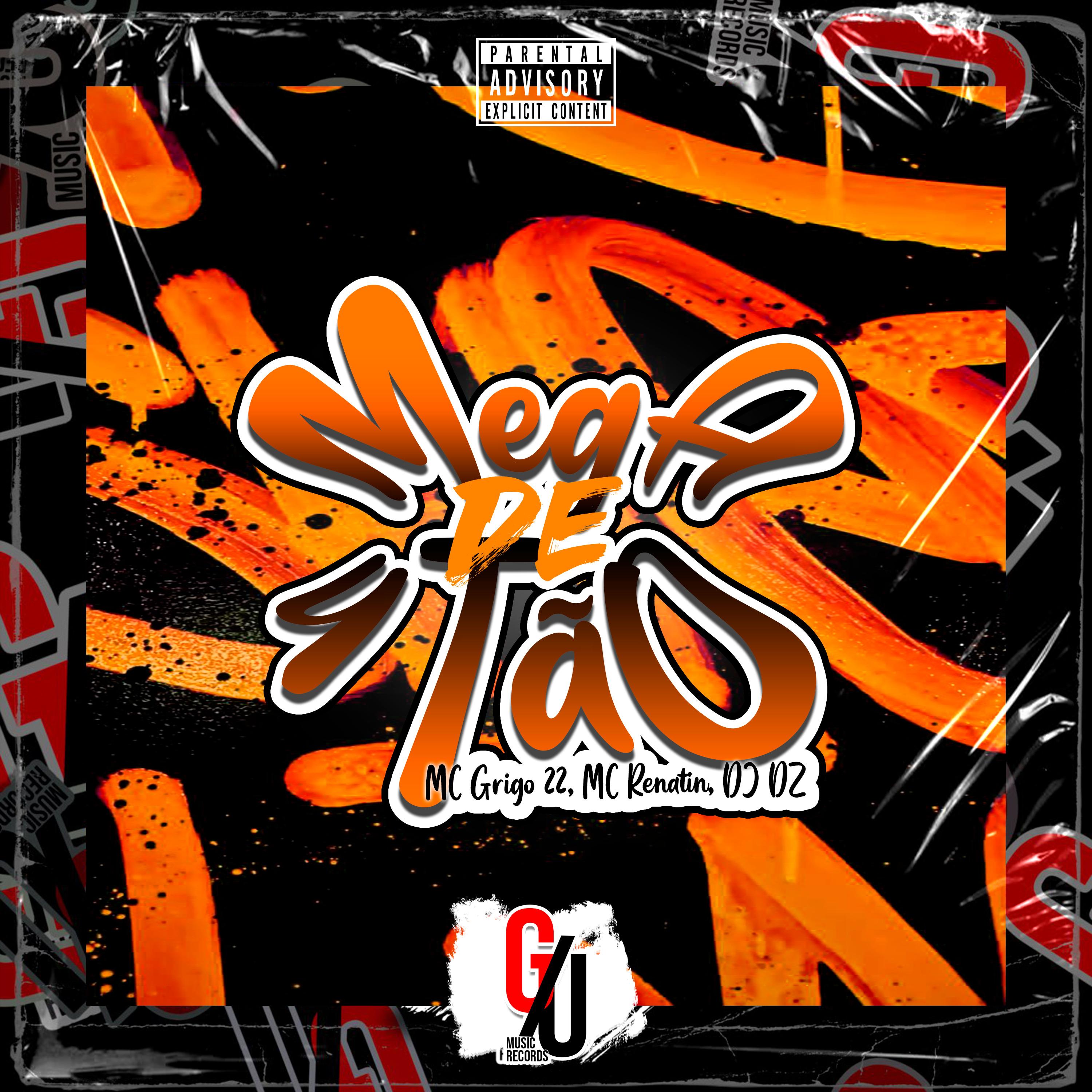 Mega de 4Tão - DJ DZ/Mc Grigo 22/MC Renatin - 单曲 - 网易云音乐