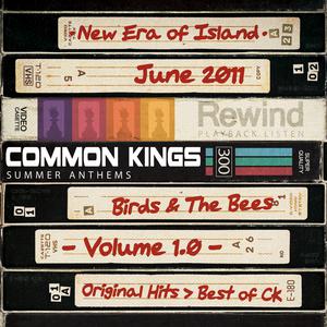 Alcoholic - Common Kings (PT karaoke) 带和声伴奏 （升1半音）