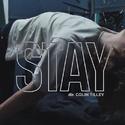 【三畿道】STAY