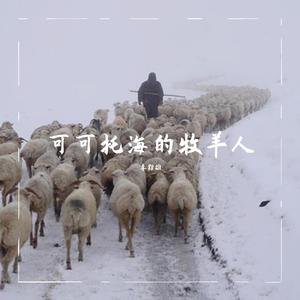 可可托海的牧羊人 (热门DJ版) （升7半音）