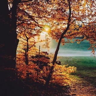 [古风电子音乐]浸透心灵 沁人心脾