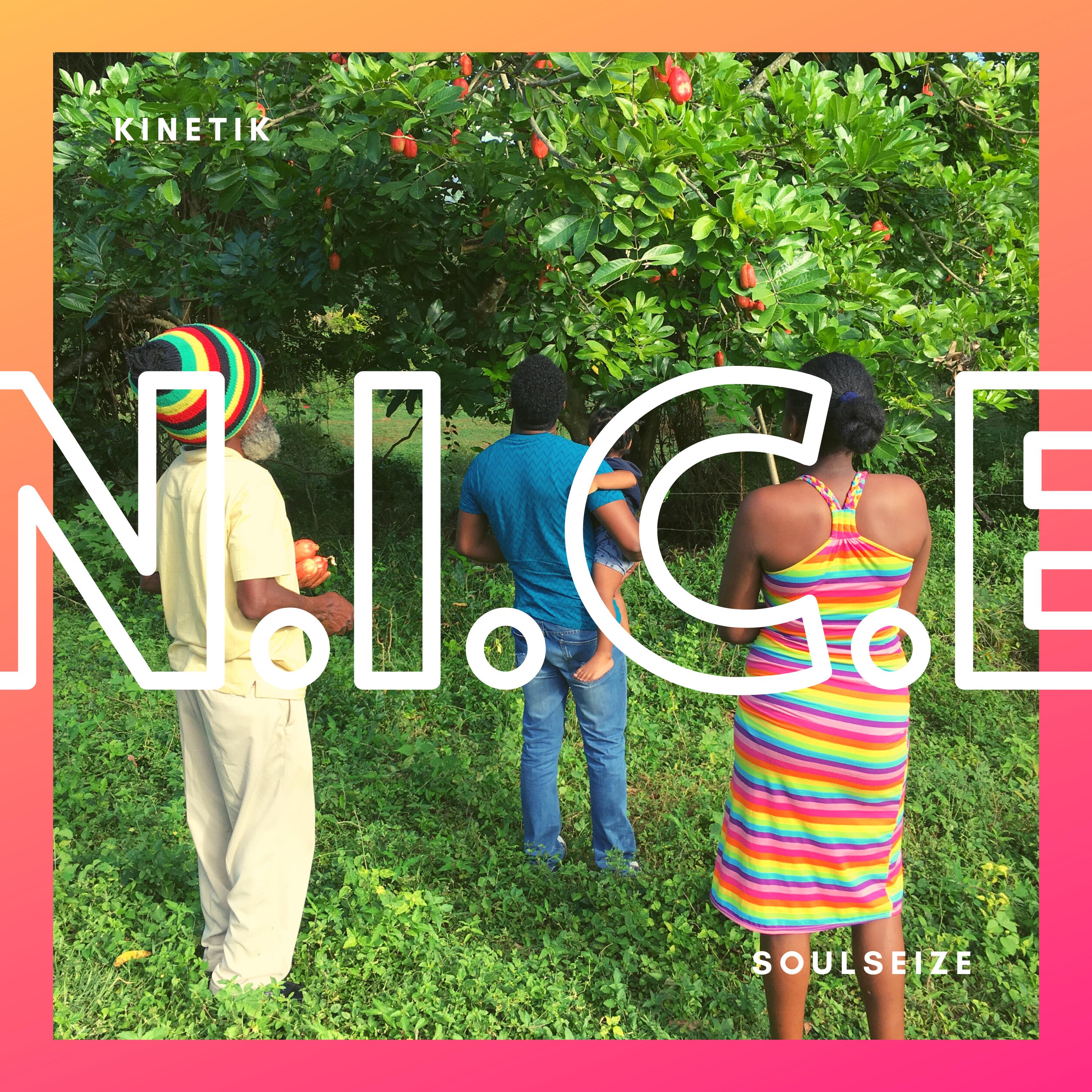 N.I.C.E.