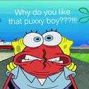 Why do you like that puxxy boy?专辑