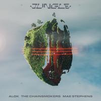 Alok & the Chainsmokers & Mae Stephens - Jungle (VS karaoke) 带和声伴奏