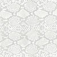 Blankey Jet City - RAIN DOG