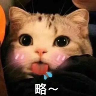 只有特别可爱的人才能刷到