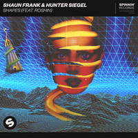Shaun Frank & Hunter Sigel Ft. Roshin - Shapes (radio Edit) (official Instrumental)