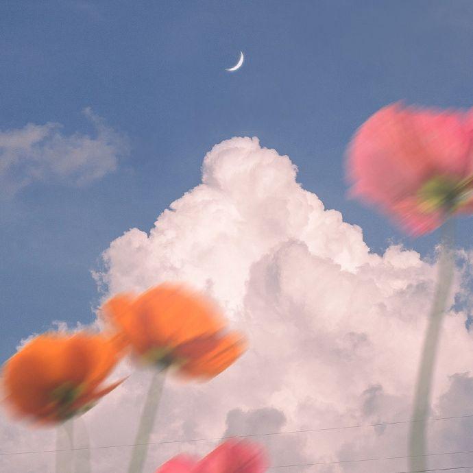 威龙进行曲-小提琴片段