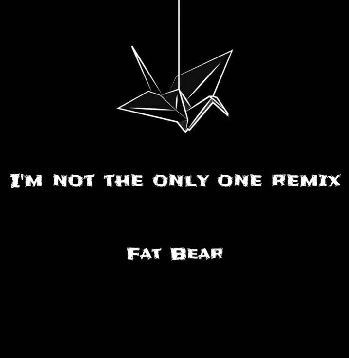 I'm not the only one remix专辑