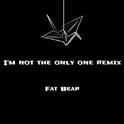 I'm not the only one remix专辑