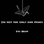 I'm not the only one remix专辑