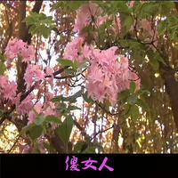 桐雨 - 绝恋 (伴奏)