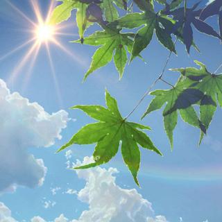 『夏日限定纯音乐』逃不开的夏天