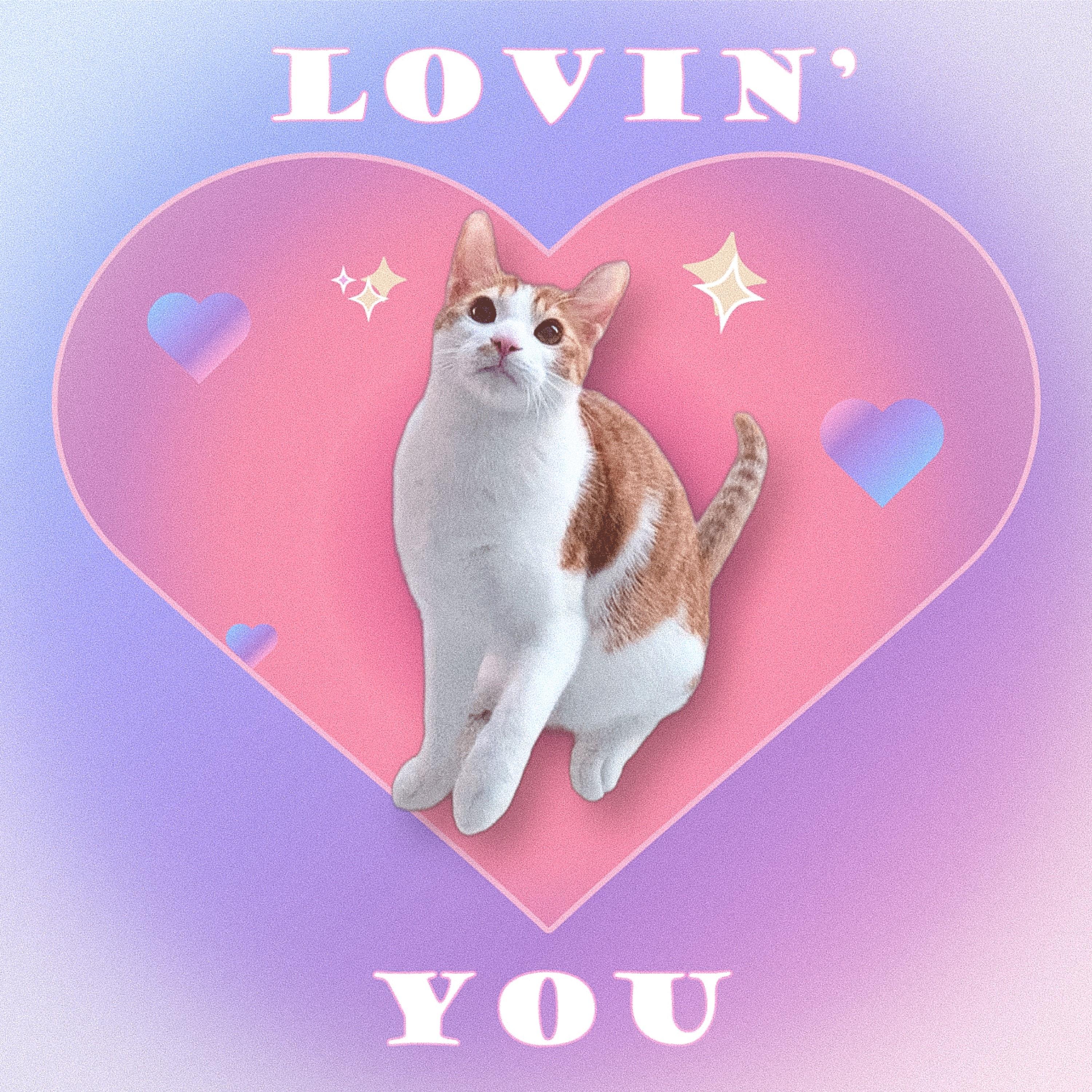 너를 사랑하고 있어