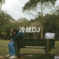 冷战DJ