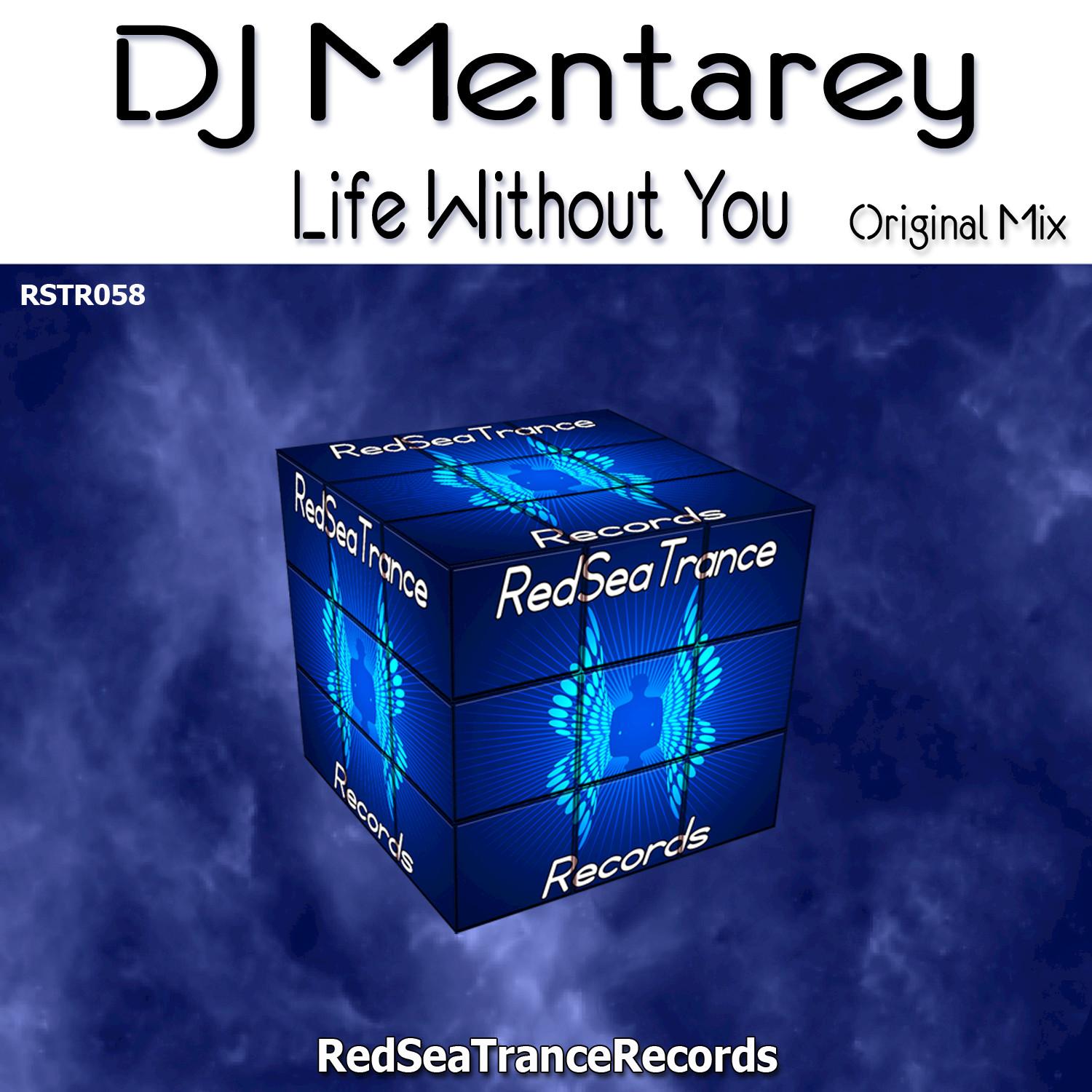 Life Without You - Single