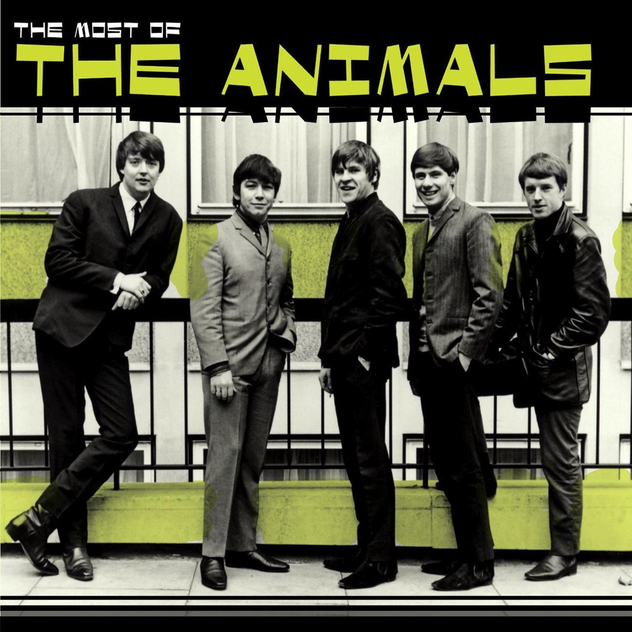 Most Of The Animals