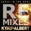 Lover in the Dark (Remixes)专辑