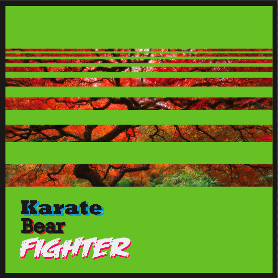 KARATE BEAR FIGHTER