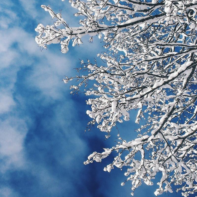 冬日爵士 | 捧朵雪花纪念肃穆和蔼的冬