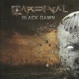 Black  Dawn