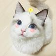 混音合集