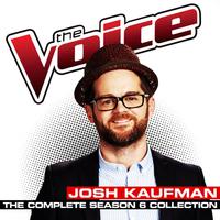 All Of Me - Josh Kaufman (unofficial Instrumental)