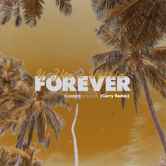 Forever(Carry Remix)