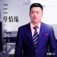 《一个相思梦》纯伴奏