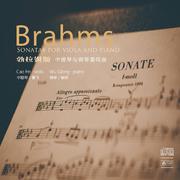 Johannes Brahms：Sonata for Viola and Piano in E-Flat Major, op.120, no.2：I. Allegro amabile