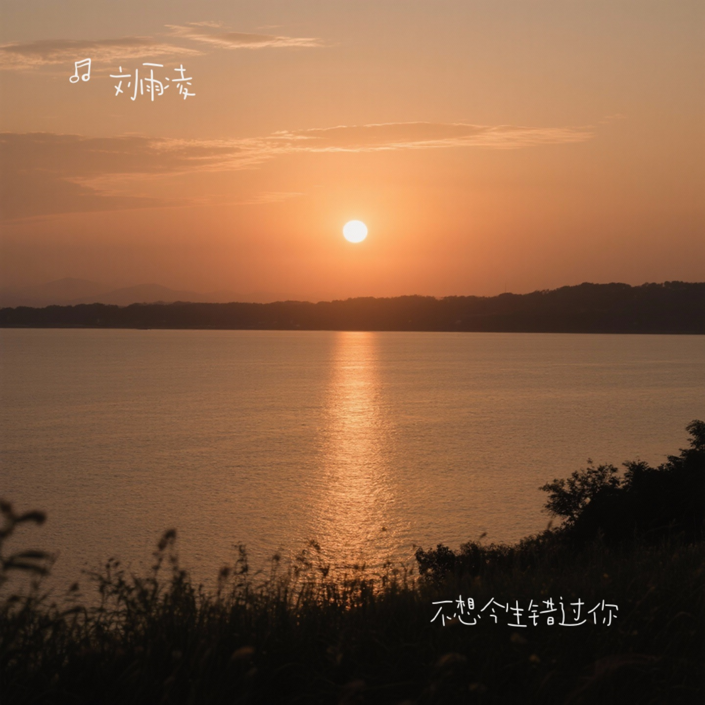 不想今生错过你