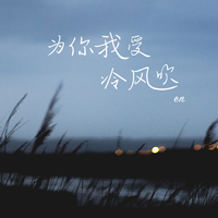 刘涛-为你我受冷风吹(跨界歌王)(现场版) 伴奏 无人声 伴奏 精修版