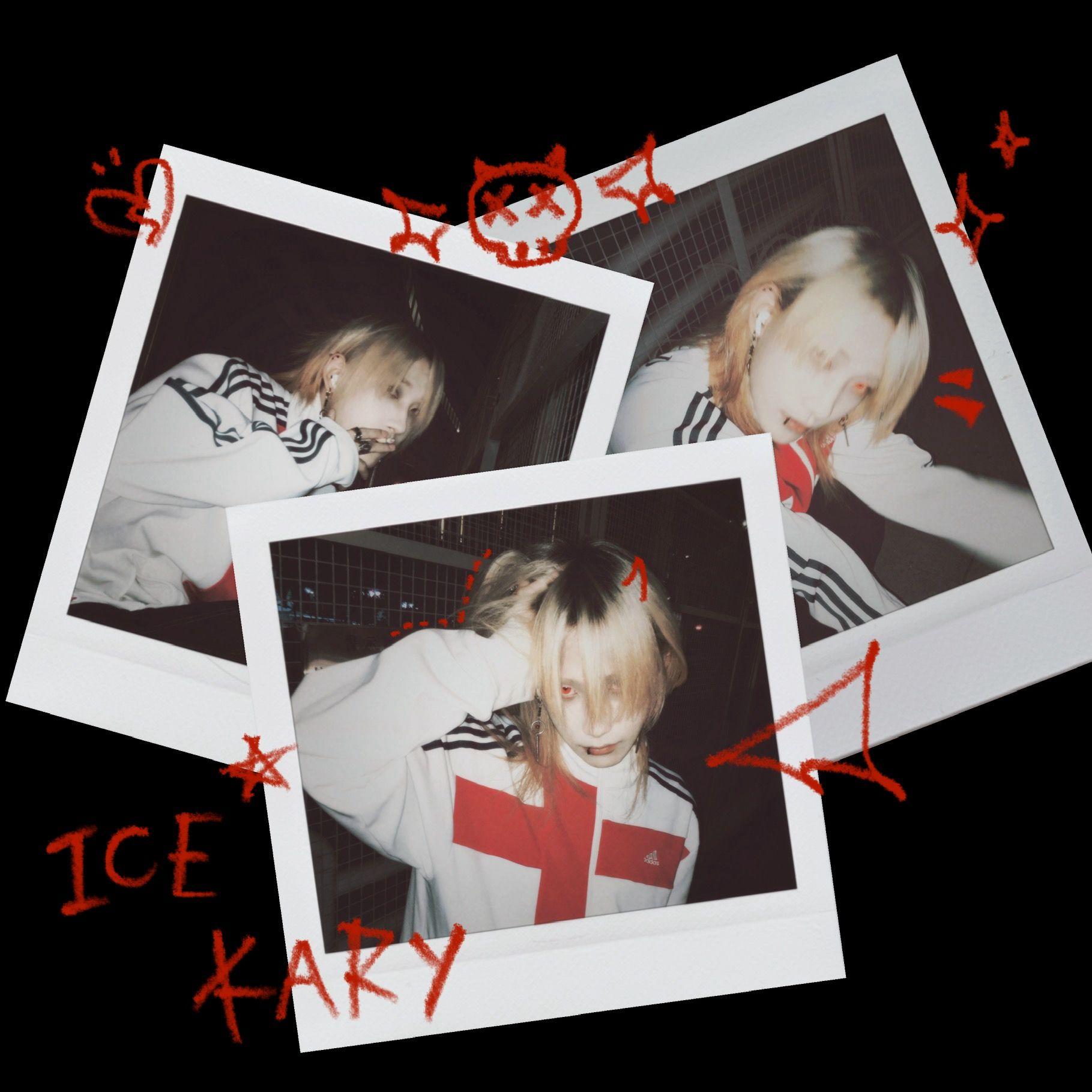 我们是错误的选择