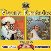 El Adios A La Vida - Vicente Fernandez (karaoke) (2)