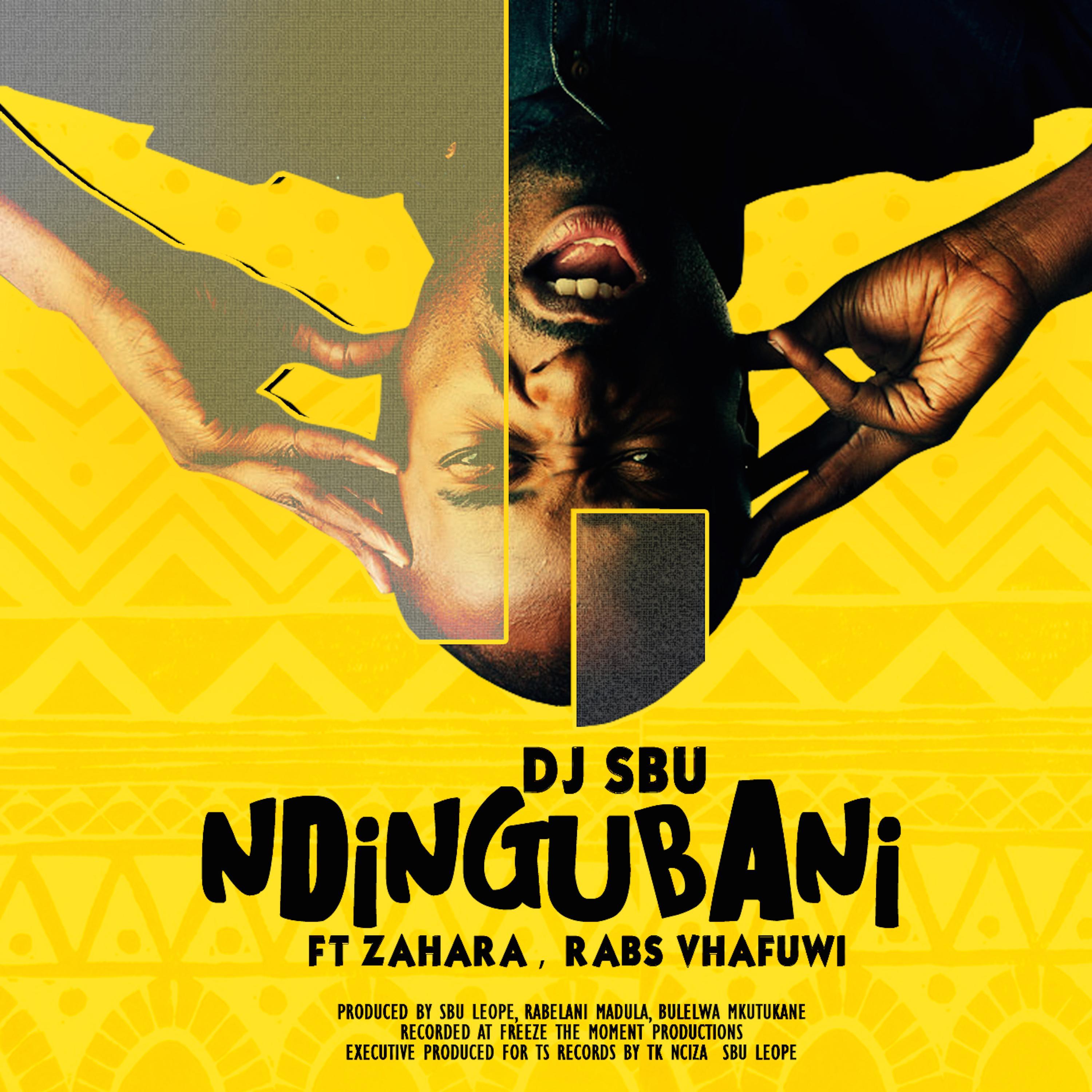 Ndingubani