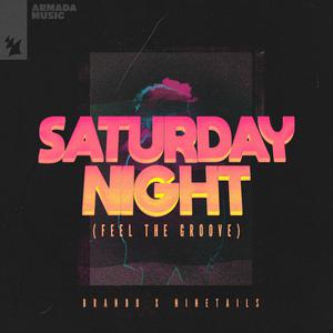 Brando & Ninetails - Saturday Night (Feel the Groove) (BB Instrumental) 无和声伴奏 （升5半音）