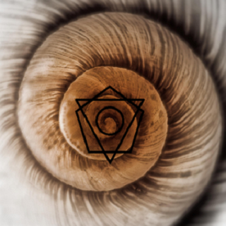 The Seperate Soul