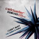 I Can't Wait (The Qemists Remix)专辑