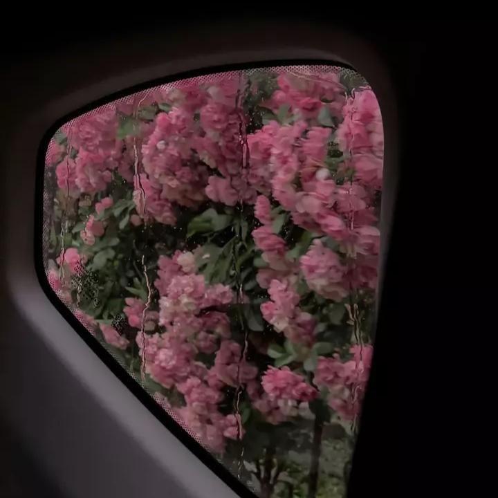 听风说