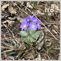 I/O Vol.6