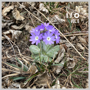 I/O Vol.6