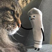 We Don’t Talk Anymore(刘柏辛 伴奏)