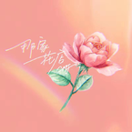 专辑《那家花店》