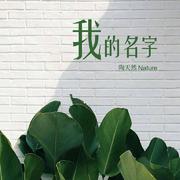 我的名字