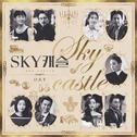 SKY 캐슬 OST专辑