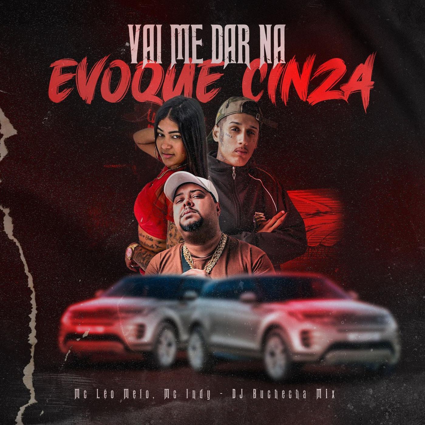 Dj Buchecha Mix - Vai Me Dar na Evolque Cinza