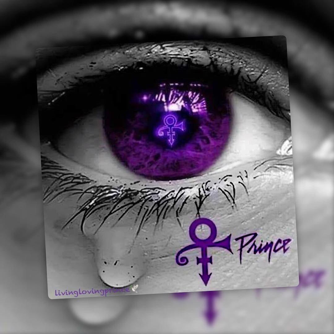 Purple Picks